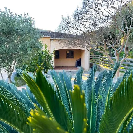 De 3 Chambres Avec Piscine Privee Et Jardin Clos A